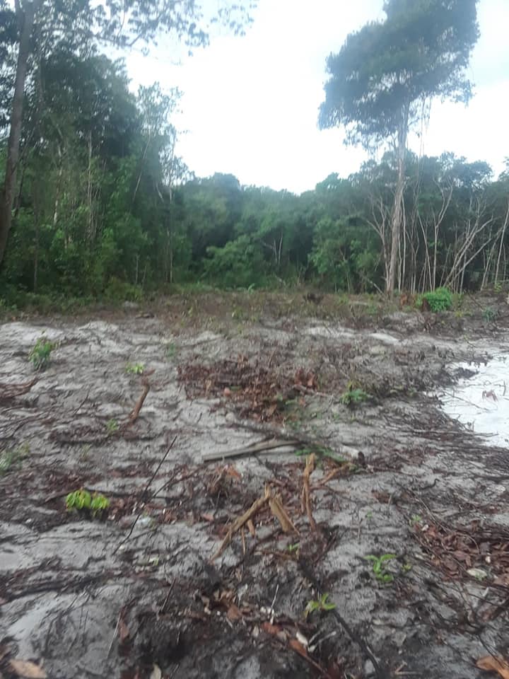 Residential land with creek for sale in Guyana Guyana Real Estate