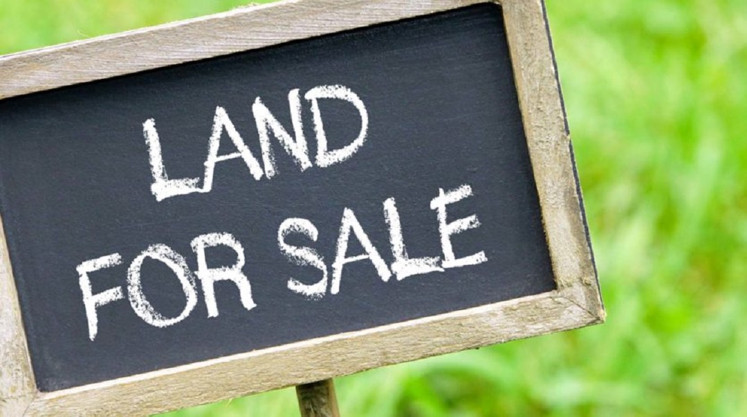 land Guyana Real Estate Services