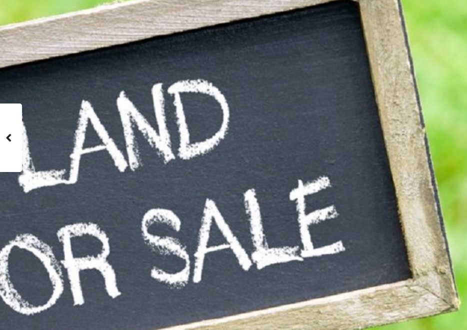 Linden Land for sale Guyana Real Estate Services