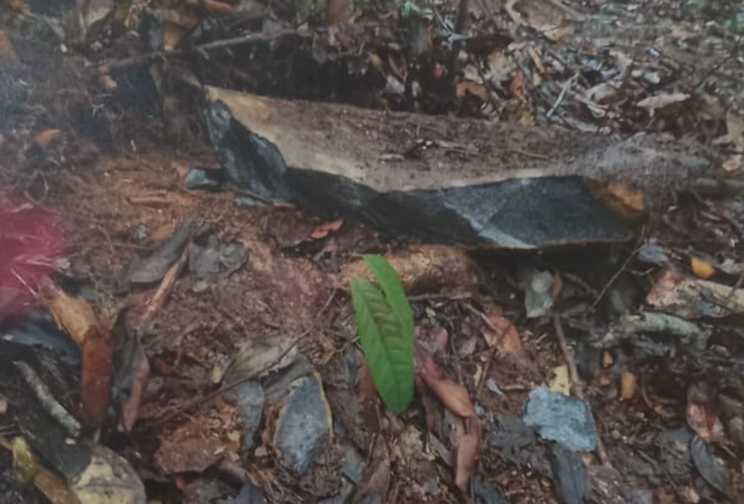 Stone Quarry Guyana Real Estate Services