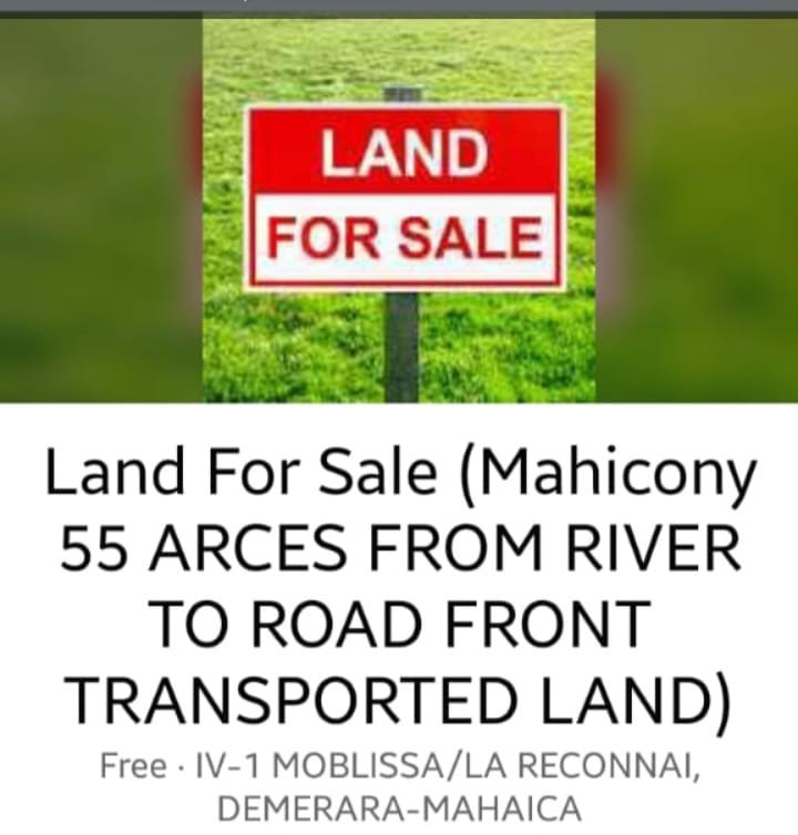 55 Acres River to Roadfront Guyana Real Estate Services