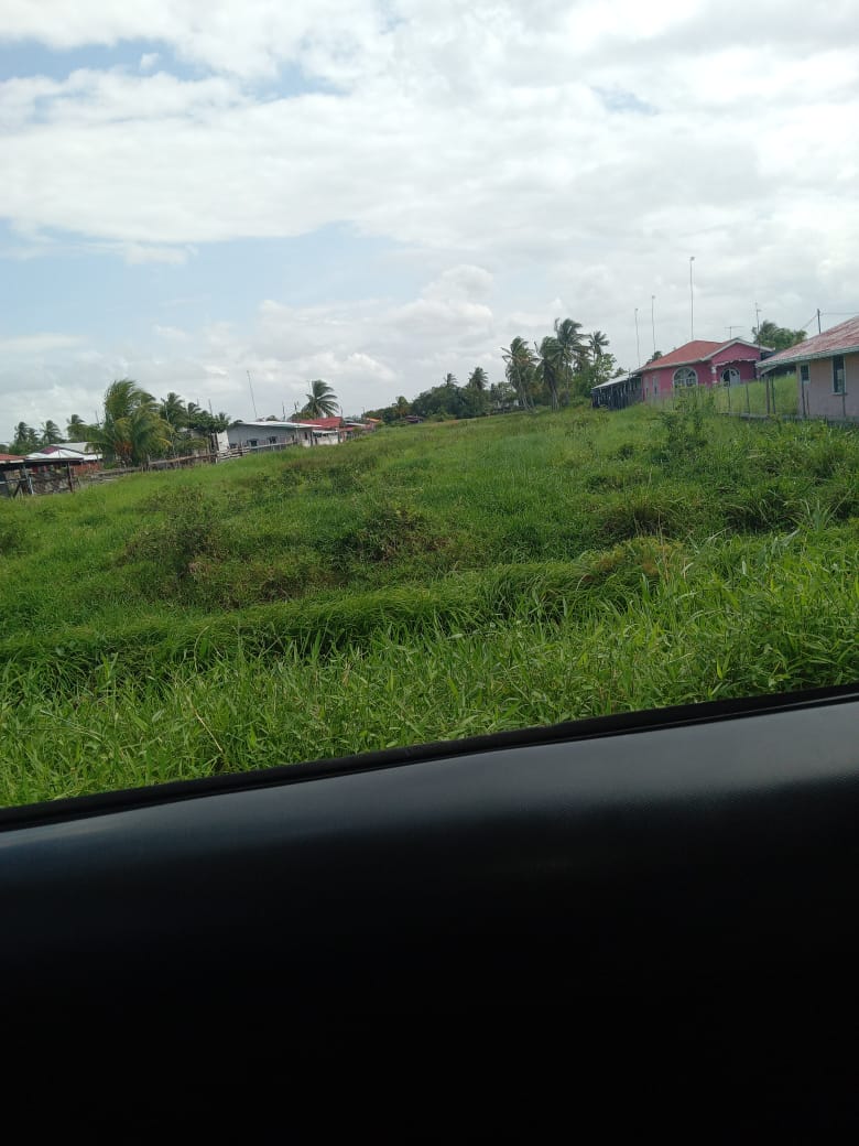 9 Acres of Land for Sale Guyana Real Estate Services