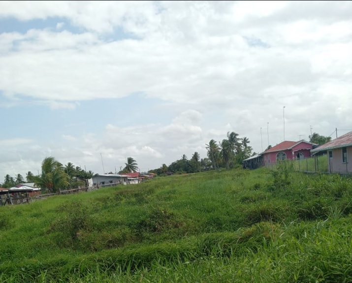 9 Acres of Land for Sale Guyana Real Estate Services