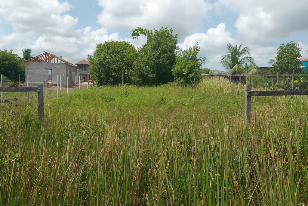 Land for Lease/Rent in Linden